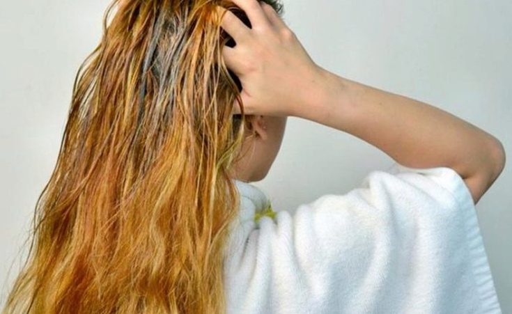 Huile de camphre pour les cheveux