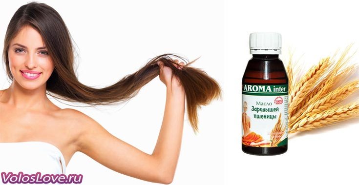 Huile de germe de blé pour cheveux