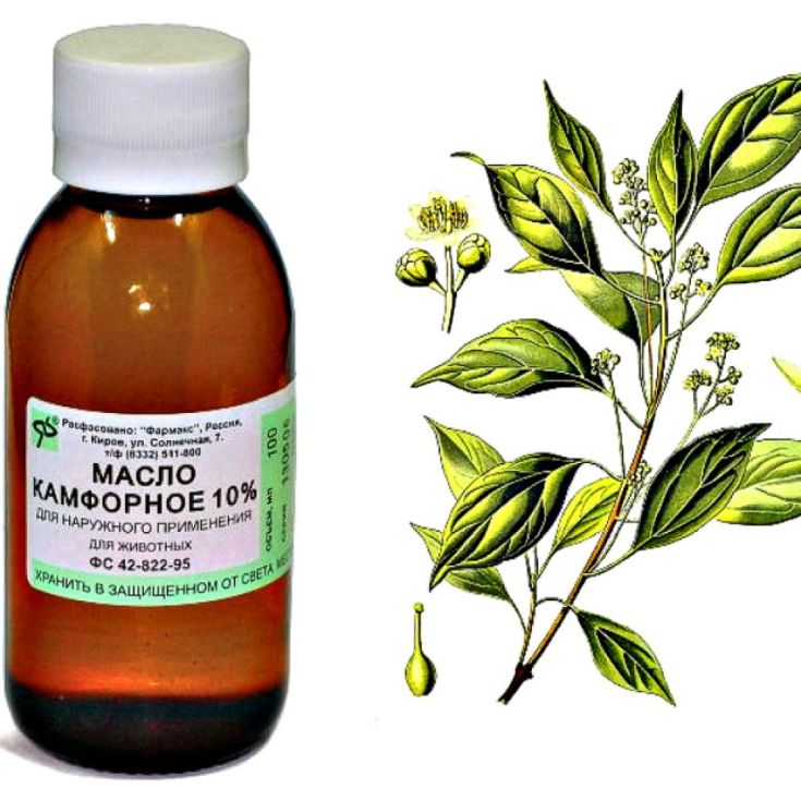 Huile de camphre pour les cheveux