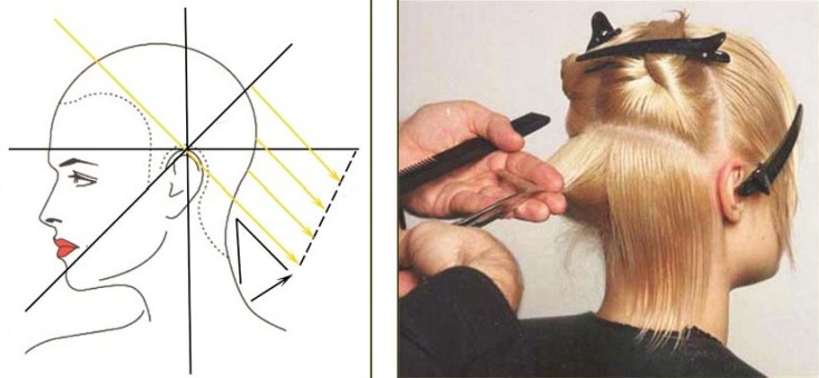 Qui convient au carré - pour quel visage, types de coupes de cheveux