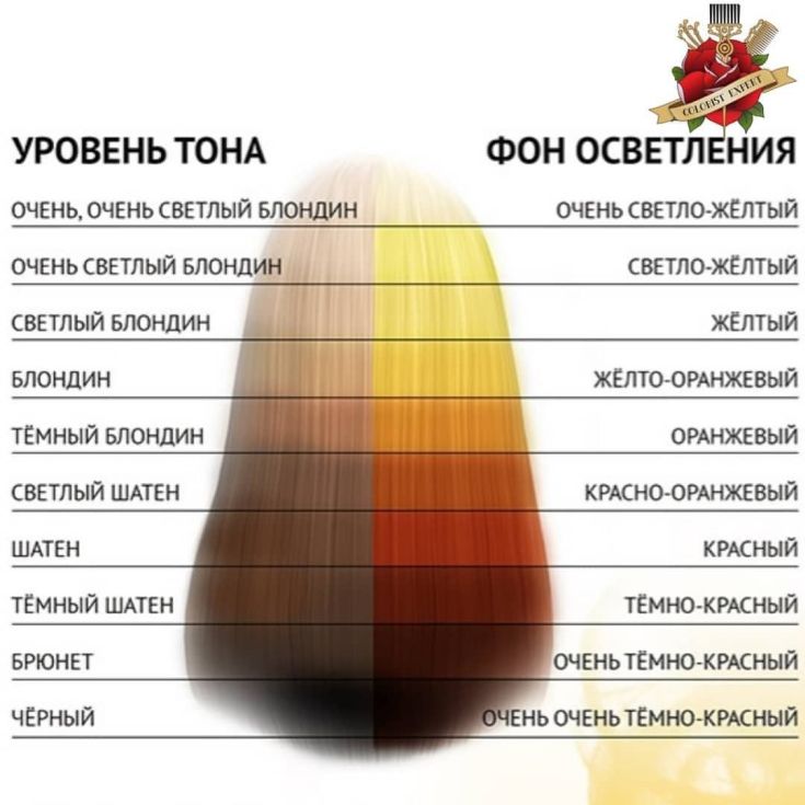 Fond d'éclaircissement des cheveux (nuancier)