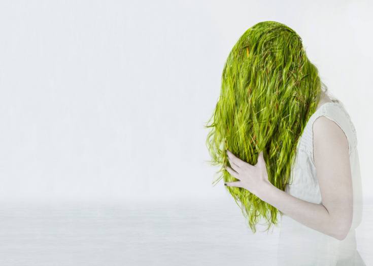 Comment enlever les cheveux verts des cheveux après la teinture