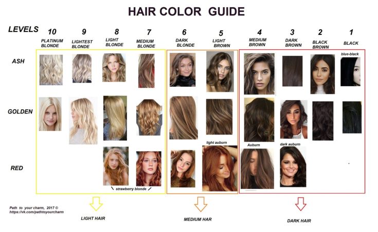 Fond d'éclaircissement des cheveux (nuancier)